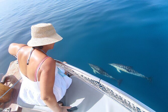 2 h Estepona Bay Tour - Key things to notice before you go