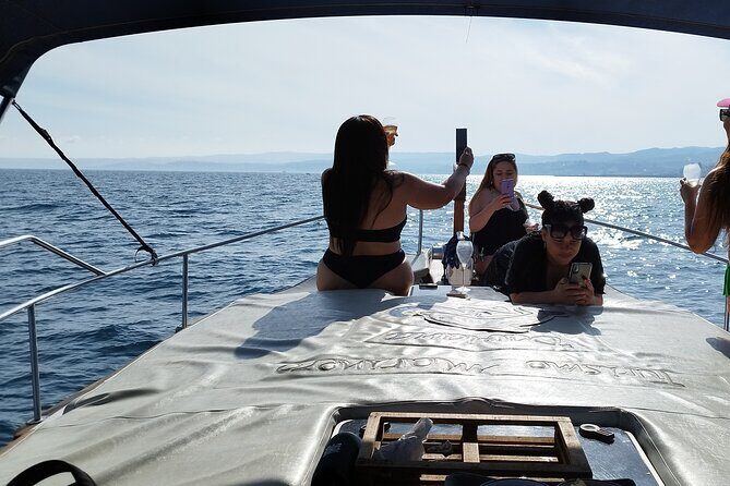 2 h Estepona Bay Tour - Dolphins Close-Up: How the Best Viewing Happens