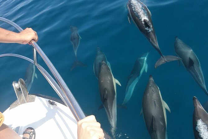 2 h Estepona Bay Tour - Swim Time and Snorkel Gear: Comfort Details You’ll Be Glad You Knew