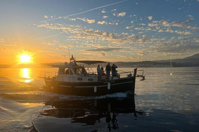 2-Hour Excursion in Search of Dolphins/ Includes Drink and Snacks - A 2-hour dolphin search with a sea-dip and a small-group feel