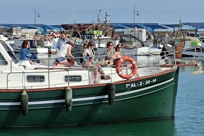 2-Hour Excursion in Search of Dolphins/ Includes Drink and Snacks - Practical tips that make your 2 hours better