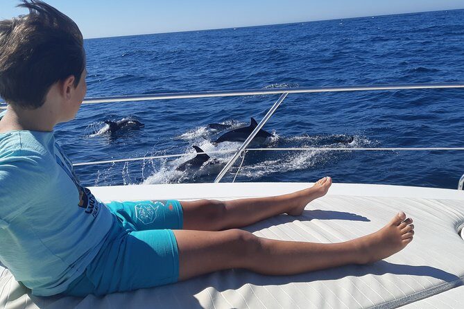 2 Hours Dolphin Watching in Marbella - Key things to know before you sail