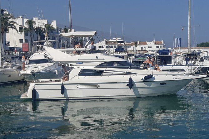 2 Hours Dolphin Watching in Marbella - Captain Jorge, Javier, and Jose: Service That Actually Feels Personal