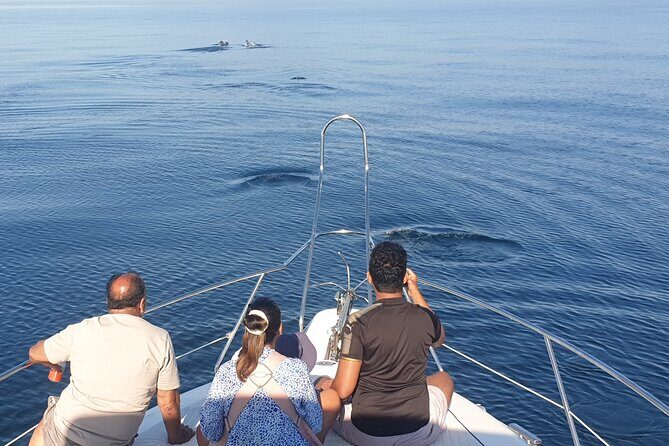 2 Hours Dolphin Watching in Marbella - Food, Drinks, and the Appetizer Setup
