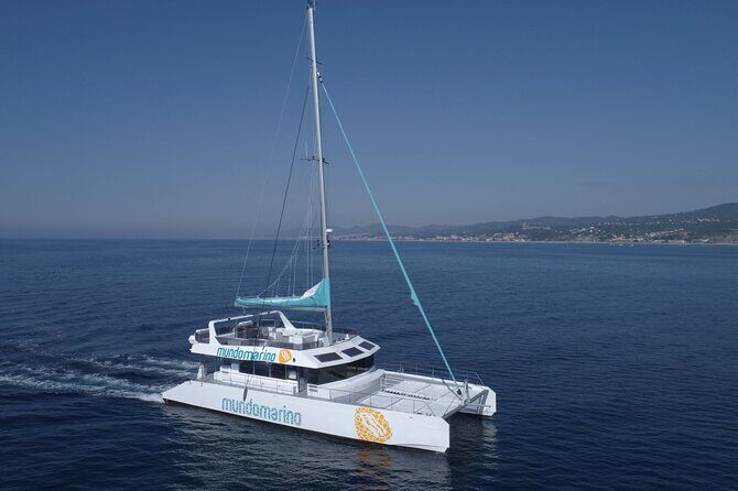 3-Hours Catamaran Tour in Malaga with Paella - Swimming Time: When the Sea Calls (and Jellyfish Exist)