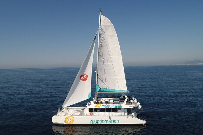 3-Hours Catamaran Tour in Malaga with Paella - The 12:00 Departure and the Pace That Works