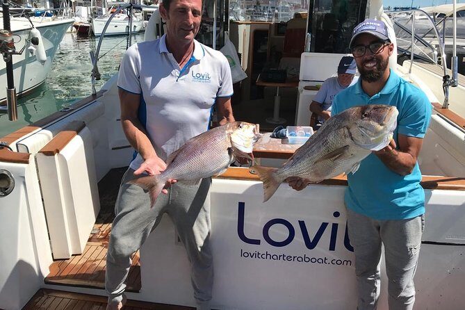 4 Hours Bottom Fishing Day by boat from Marbella - Cruising the Costa del Sol: Dolphins, Comfort, and the Ride Out