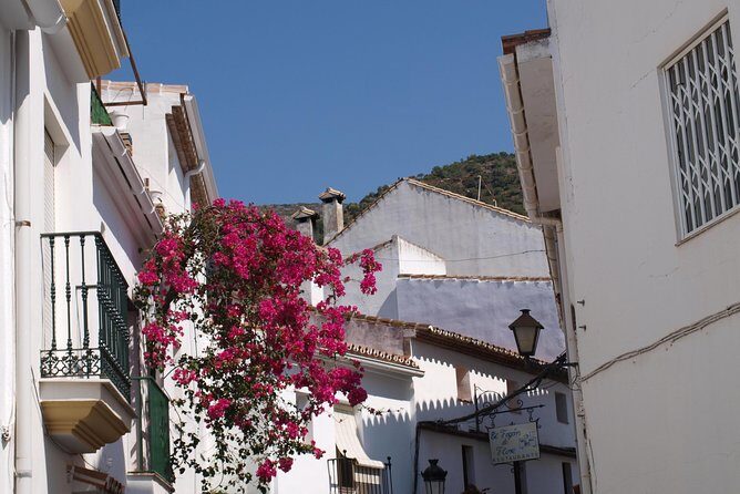 Authentic Andalusia - Jeep Eco Tour (pick up from Marbella - Estepona) - Should you book the Authentic Andalusia Jeep Eco Tour?