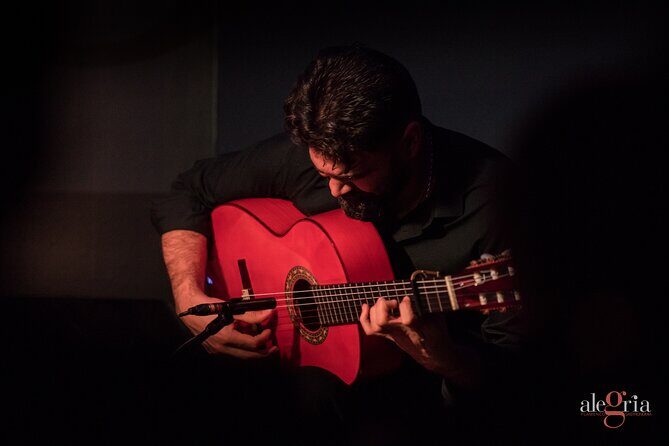 Authentic flamenco show. Alegria and gastronomy Malaga - The Five-Artist Cast: What to Watch For as the Style Shifts
