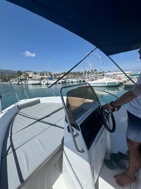 Benalmádena: Alquiler de barcos sin licencia Costa del Sol - Cruising for Dolphins: How the Spotting Part Plays Out