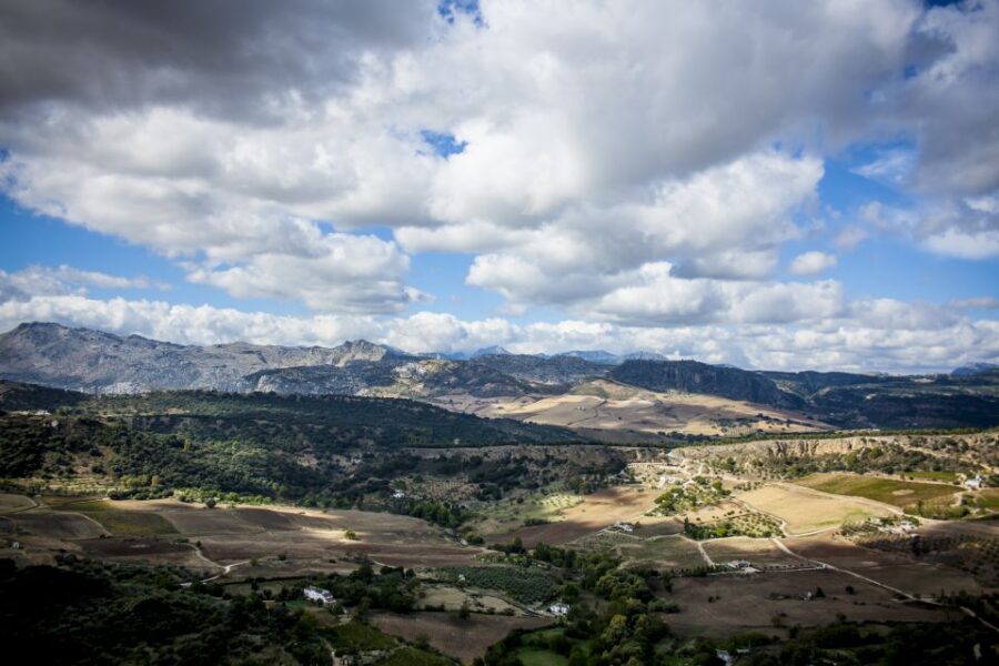 Best of Ronda: Guided Tour from Málaga - Who Should Book This Day Trip (and Who Should Skip It)