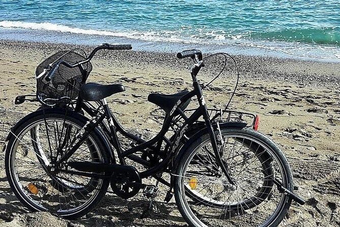 Bike Rental in Malaga - The Real Appeal: Malaga by Bike Is a One-Day Shortcut