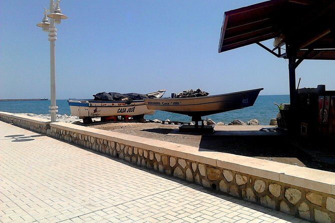 Bike Rental in Malaga - Palmeral de las Sorpresas: A Stop Built Into the “Best Of” Mix