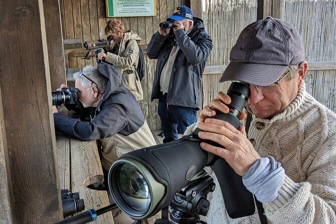 Birding Costa del Sol Day tour - Playa Guadalhorce and the Guadalhorce Estuary: waders, waterfowl, and serious wetland energy