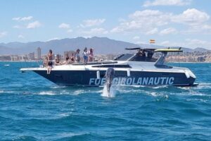 Boat Trip in Fuengirola, Dolphin Watching and Drinks - Drinks and snack: the part that makes it feel like a proper outing