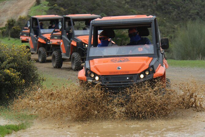 Buggy Adventure with Incredible Views of the Sea and the Reservoir - Key details to know before you book