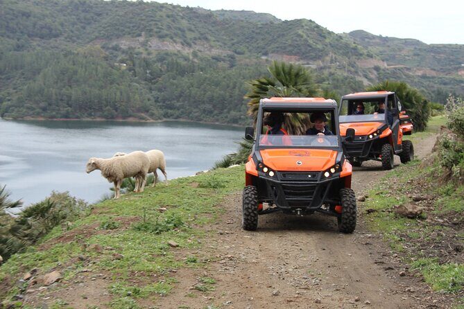 Buggy Adventure with Incredible Views of the Sea and the Reservoir - Starting at Puerto Deportivo: where you meet and how the tour runs