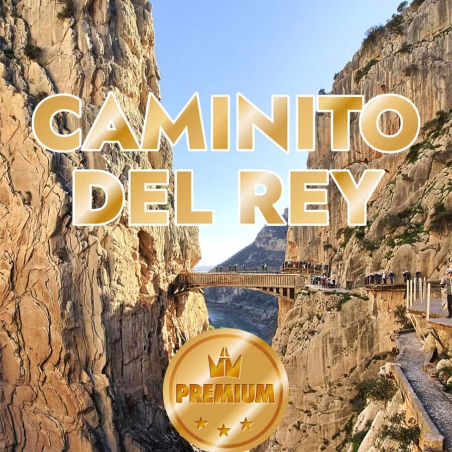 Caminito del Rey from Malaga all included - Caminito del Rey from Málaga: the value of not driving yourself