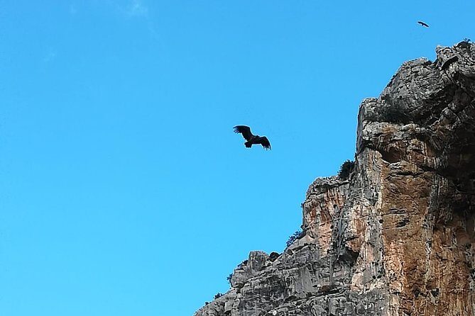 Caminito del Rey Trekking Walkway - Should you book this guided walkway?