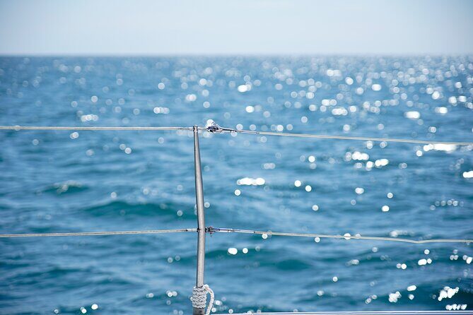 Catamaran tour with swimming stop in Malaga - Price and Value at About $21.29