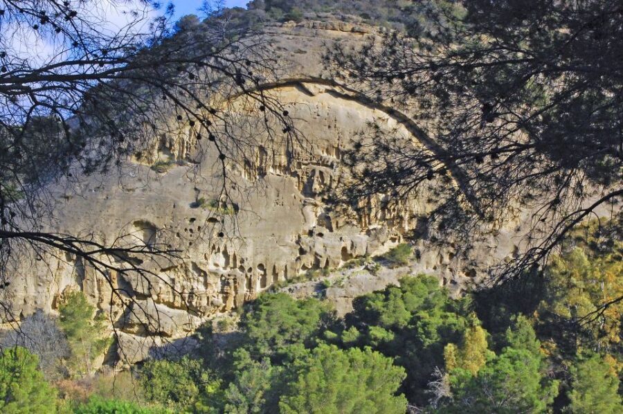 Costa del Sol: Caminito del Rey Guided Trip - Price vs. value: about $47 for a high-impact day