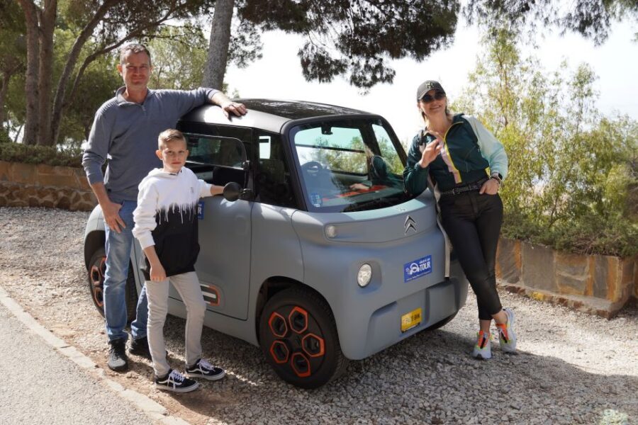 Cruise Terminal Pickup: Málaga in 2 Hours by Electric Car - Driving, comfort, and who this tour fits best