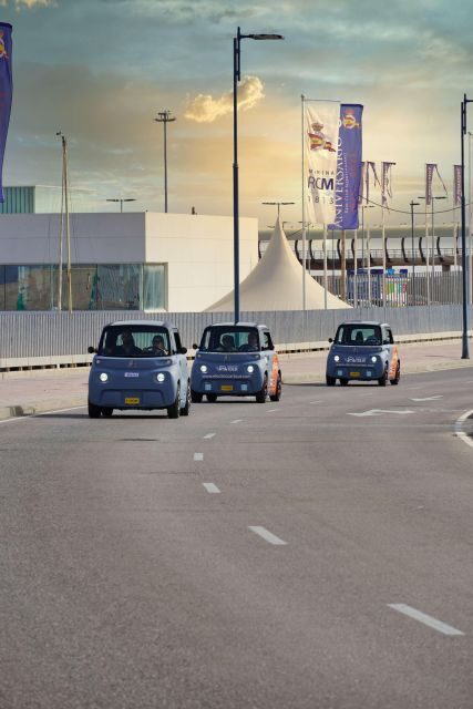 Cruise Terminal Pickup: Málaga in 2 Hours by Electric Car - Price and value: $94 for a self-drive guided highlight loop