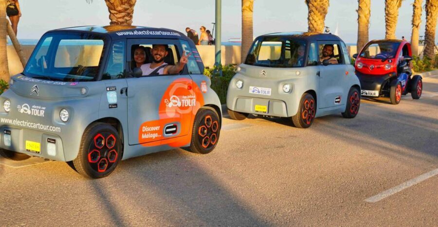 Cruise Terminal Pickup: Málaga in 2 Hours by Electric Car - Cruise terminal pickup: the biggest value for short port days