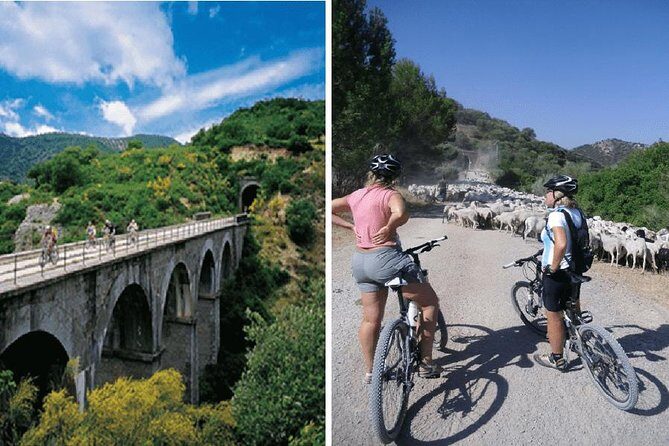 Cycling - Via Verde de la Sierra - 36km - Easy Level - Getting there from Ronda: the half-day rhythm