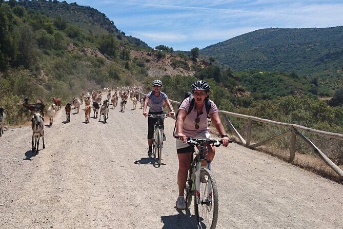 Cycling - Via Verde de la Sierra - 36km - Easy Level - Family-friendly facts: who this ride suits best