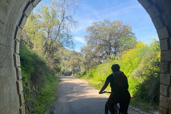 Cycling - Via Verde de la Sierra - Easy Difficulty - Ronda - The route itself: tunnels, old stations, viaducts, and vulture stops