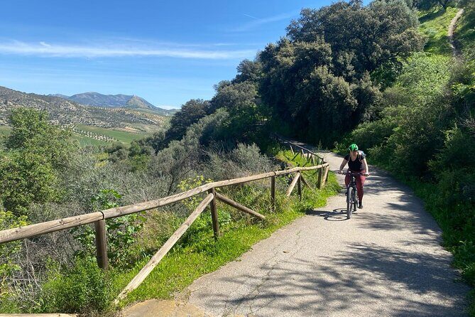 Cycling - Via Verde de la Sierra - Easy Difficulty - Ronda - From Ronda to Olvera and back: the rhythm of the day
