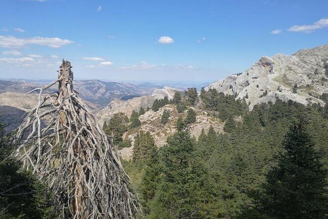 Dayhikes with pick-up from Marbella and Estepona - Hike Difficulty by Day: Pick Your Comfort Level