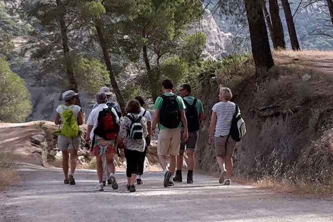 Dayhikes with pick-up from Marbella and Estepona - Sierra de las Nieves National Park: What You Actually Experience
