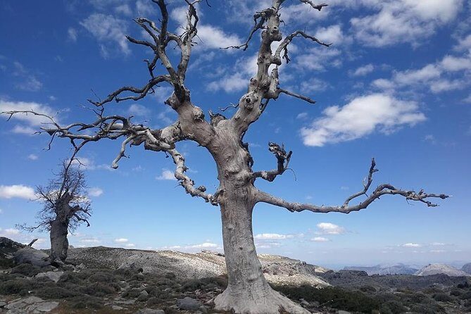 Dayhikes with pick-up from Marbella and Estepona - Village Finish: Where the Day Turns Local