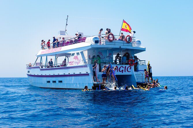 Dolphin Sightseeing Boat Tour from Benalmadena - Optional Swim Stop: The Fun Variable