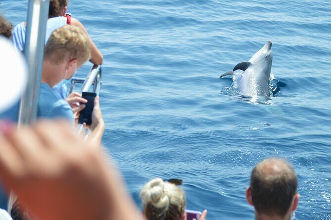 Dolphin Sightseeing Boat Tour from Benalmadena - Onboard Comforts That Matter More Than You’d Think