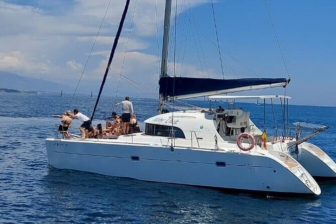 Dolphin trips on a catamaran - Key Highlights You’ll Care About