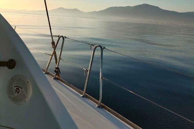 Dolphin trips on a catamaran - Why This 2-Hour Dolphin Catamaran Fits Real Plans
