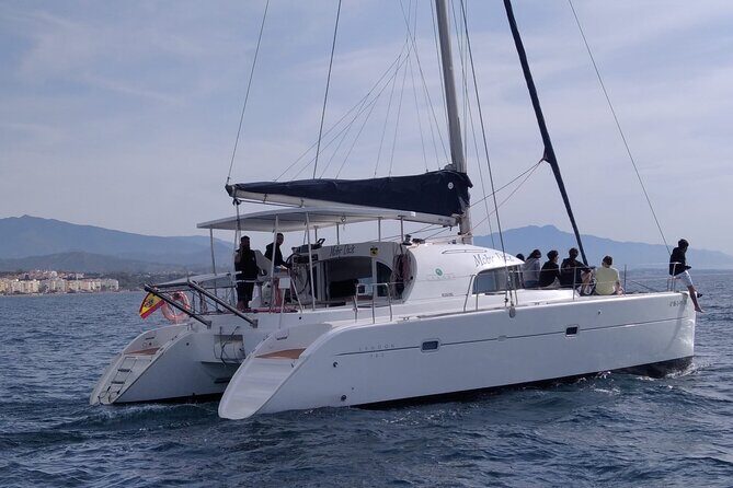 Dolphin trips on a catamaran - Swimming in Open Water: When It’s Worth Bringing a Towel