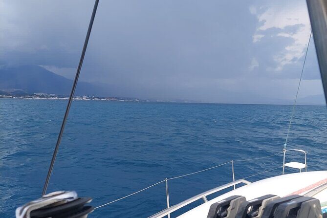 Dolphin trips on a catamaran - Onboard Comfort: Clean Catamaran, Family-Friendly Pace