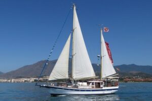 Dolphin Watching Adventure in Estepona Bay - Dolphin spotting: what to expect from the search (and what to do if it’s slow)