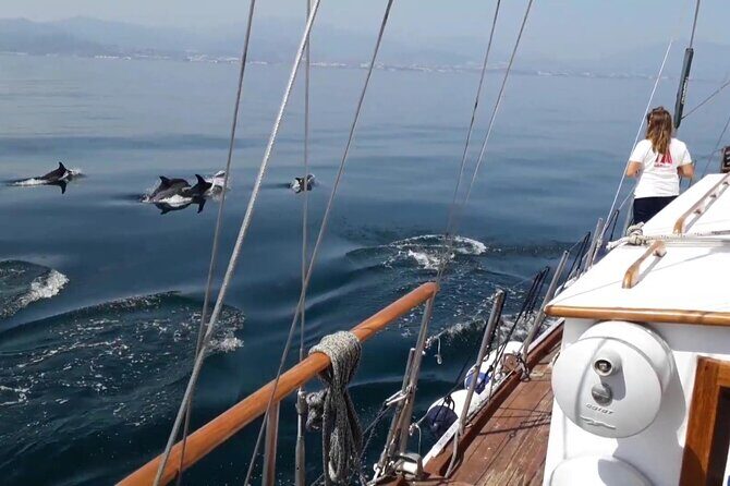 Dolphin Watching Adventure in Estepona Bay - The swim stop and onboard comfort on Velero Intrepido