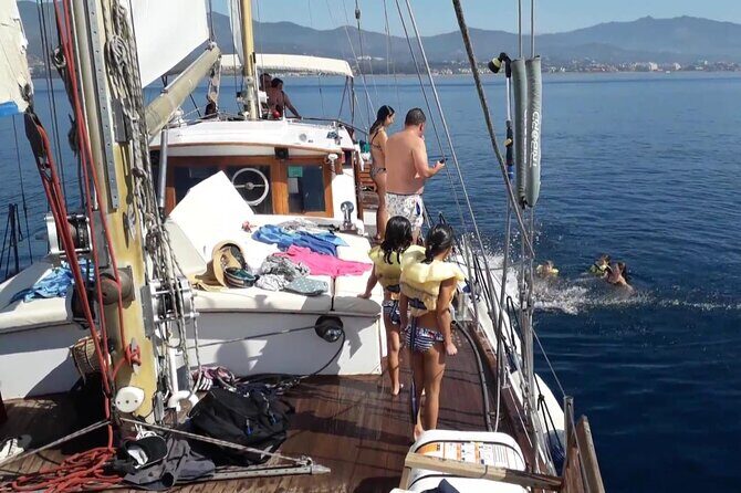 Dolphin Watching Adventure in Estepona Bay - Price and value: is $42.33 in Estepona Bay a fair deal?