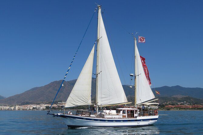 Dolphin Watching Adventure in Estepona Bay - Dolphin spotting: what to expect from the search (and what to do if it’s slow)