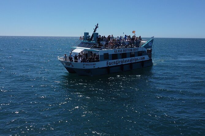 Dolphin watching on a Catamaran in Fuengirola - Key Points You Should Know Before You Go