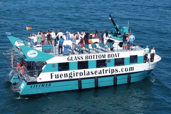 Dolphin watching on a Catamaran in Fuengirola - Where the Cruise Starts in Fuengirola (and Why It Matters)