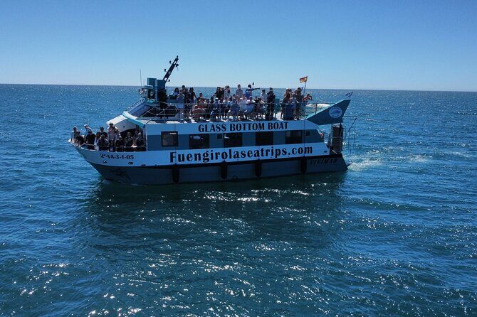 Dolphin watching on a Catamaran in Fuengirola - Dolphin Watching Reality Check: When You See Them (and When You Don’t)