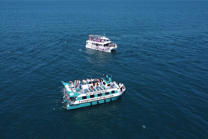 Dolphin watching on a Catamaran in Fuengirola - Onboard Comfort: Decks, Seating, and Motion (Yes, Sea Sickness Happens)