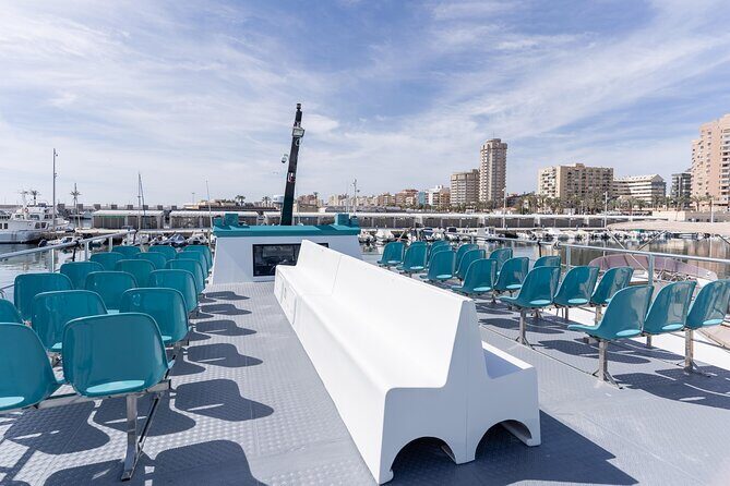 Dolphin watching on a Catamaran in Fuengirola - Group Size and the Vibe on Board